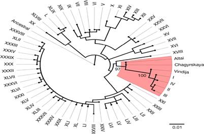 figure2