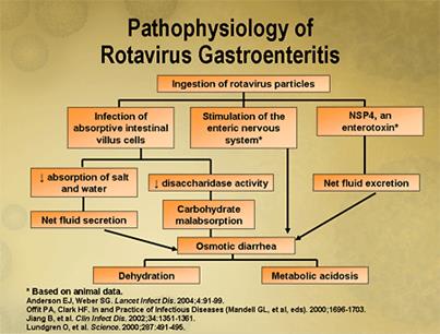 Dr Sherazi: Gastroenteritis
