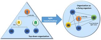 Traditional organization vs agile organization (adapted from [22]). |  Download Scientific Diagram
